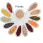 Pulses